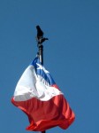 La bandiera del Cile
